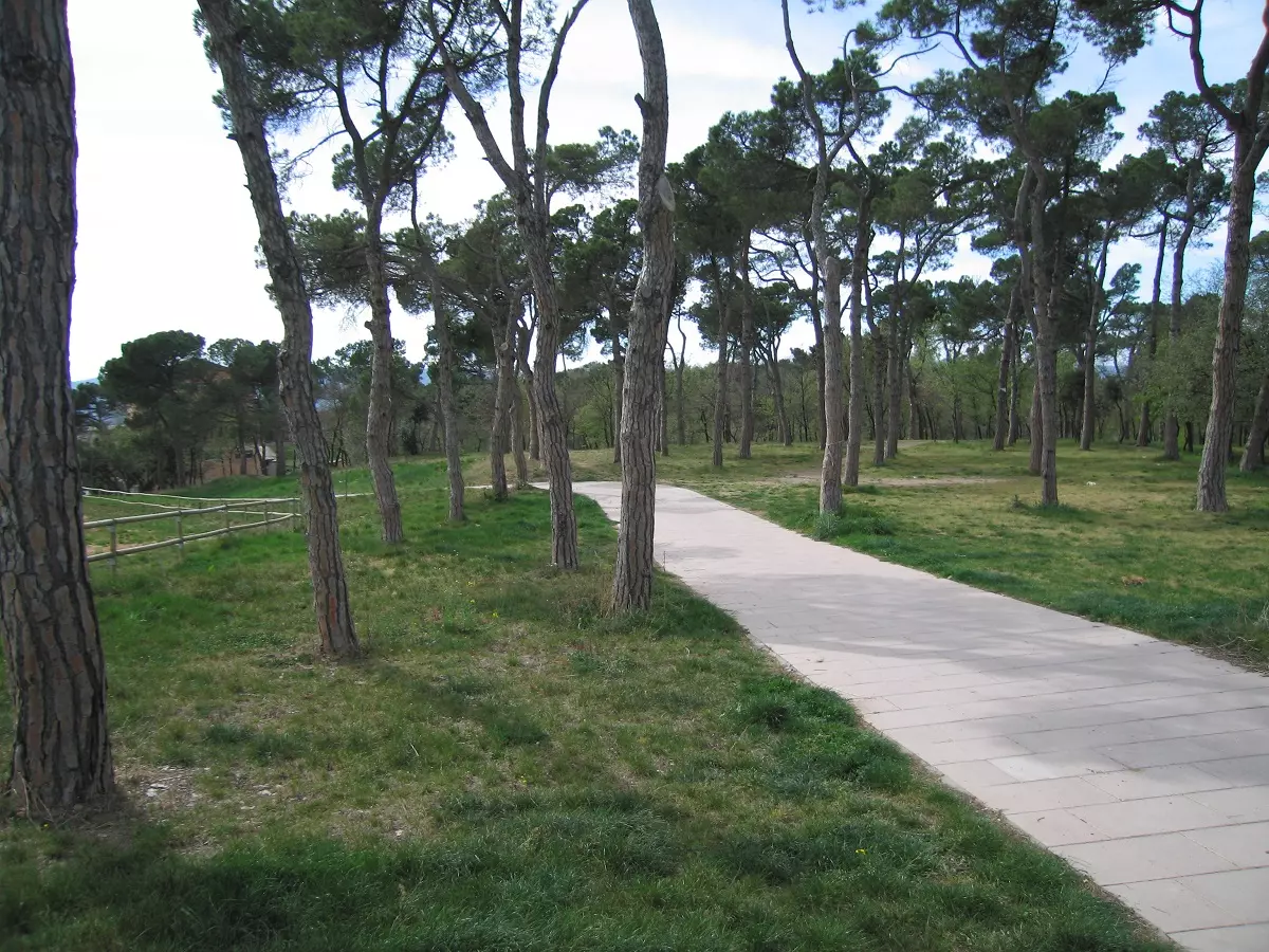 servicios de jardineria Mantenimiento de jardines y zonas verdes